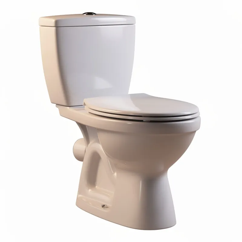 Remplacement de WC Bussy-Saint-Georges