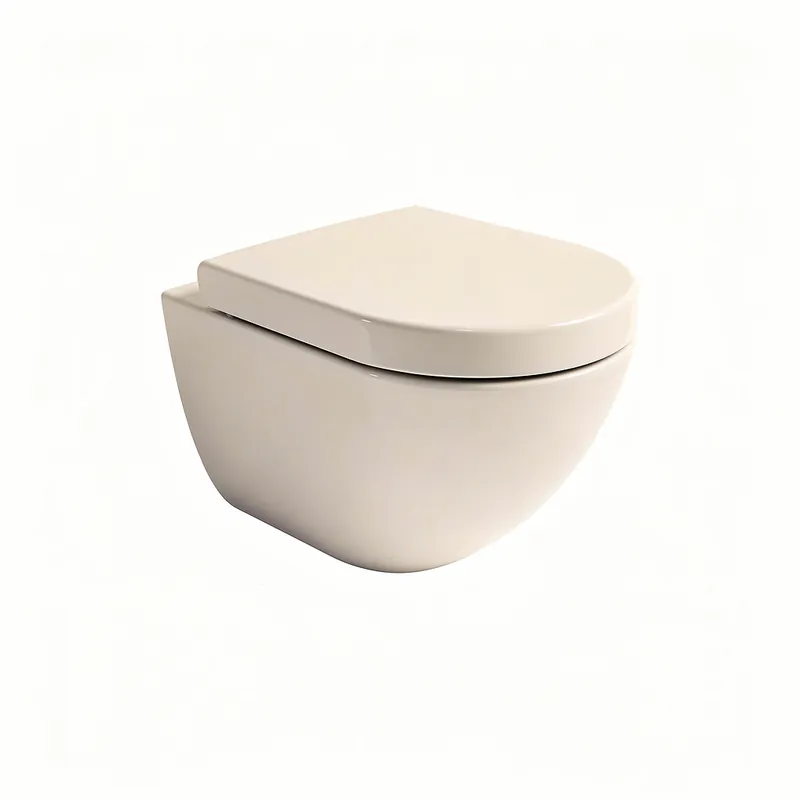 Pose WC Suspendu Bussy-Saint-Georges