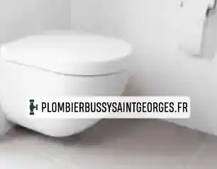 Pose WC Suspendu Bussy-Saint-Georges